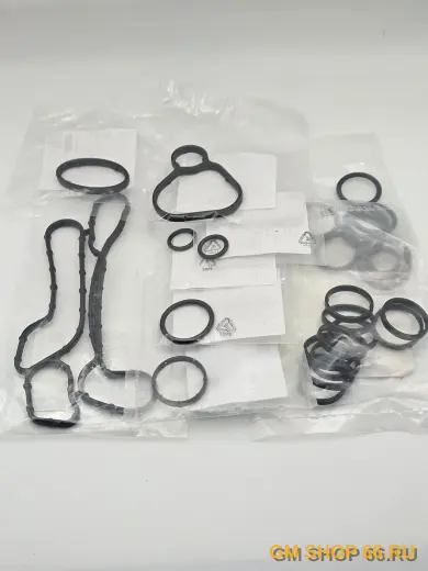 Комплект прокладок маслоохладителя GM 25199750KIT, General Motors для Opel Astra H/Astra J/Zafira B; Chevrolet Cruze/Aveo T300 — фото 2 из 2