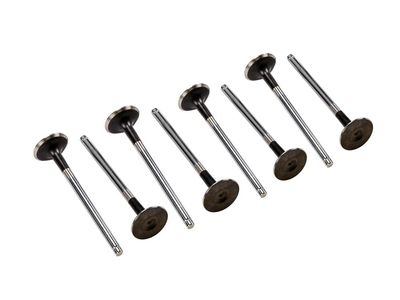 Клапан двигателя впускной GM 25192555, Впускные клапаны, General Motors для Chevrolet Lacetti/Aveo T250/255/Aveo/Kalos
